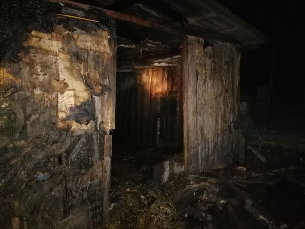 В Белыничском районе произошел пожар