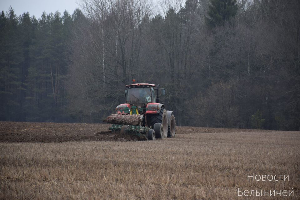 В ОАО «Белыничский райагропромтехснаб» весенние сельхозработы идут полным ходом
