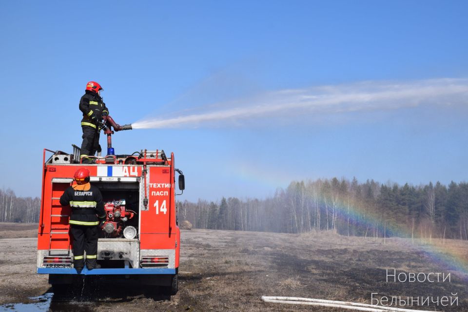 В Белыничском лесхозе прошел республиканский пресс-тур по подготовке системы лесного хозяйства района к пожароопасному периоду
