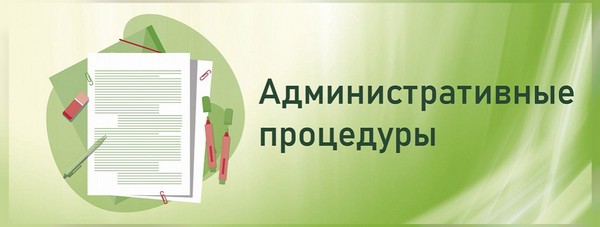 Административные процедуры – в электронном виде