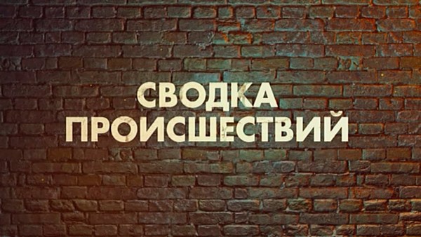 Сводка происшествий