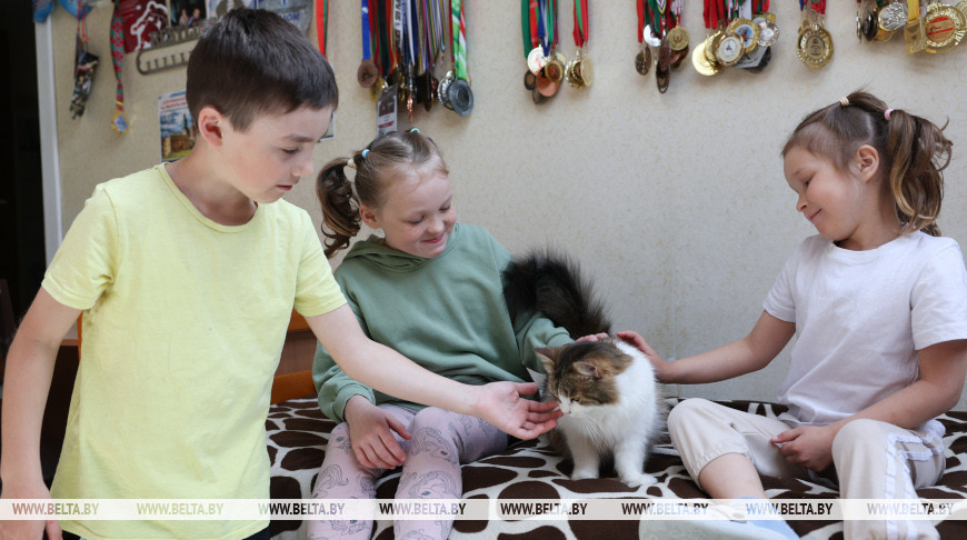 В Беларуси размер семейного капитала с 2020 года вырос более чем в полтора раза