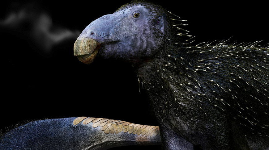 Окаменелости ранее неизвестного вида динозавров с шипами возрастом 125 млн лет нашли палеонтологи в Китае 