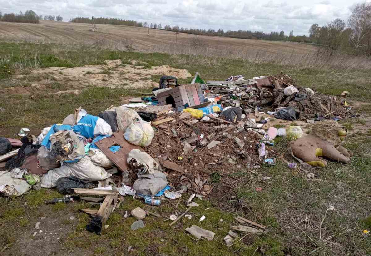 Житель Белыничского района устроил свалку и попался на школьной тетрадке