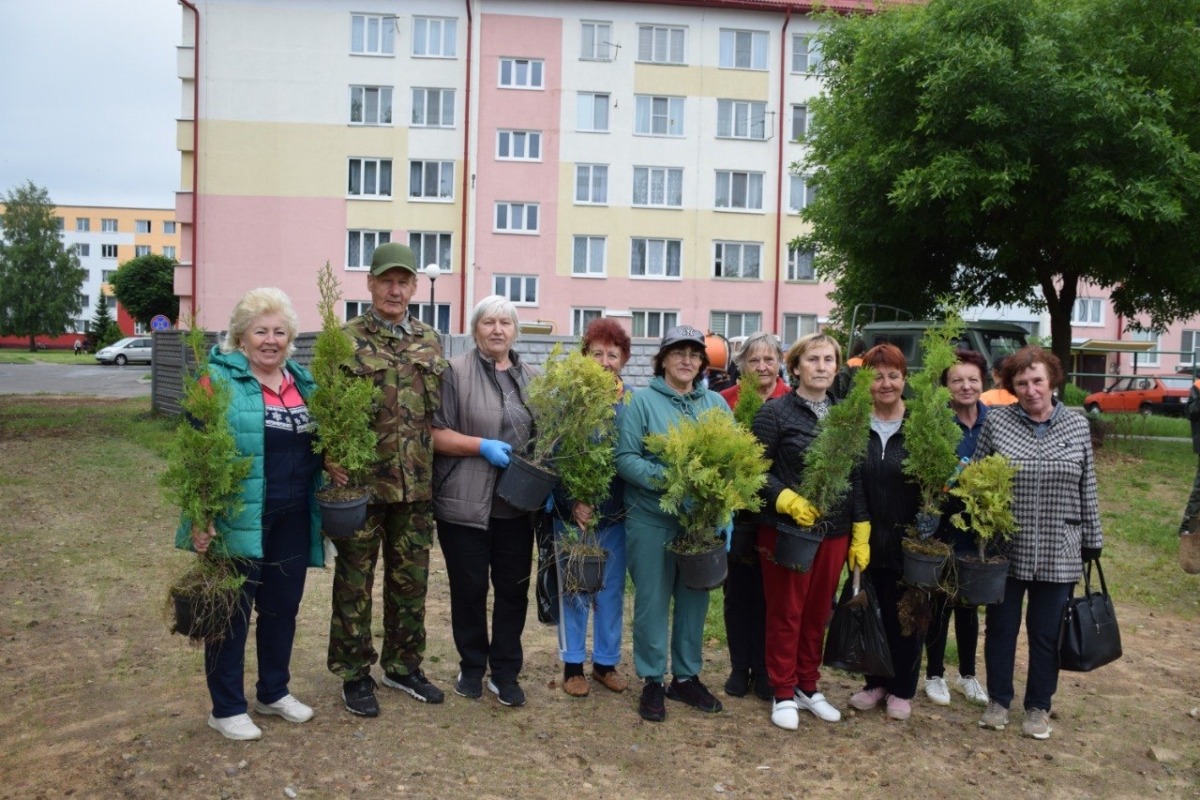 В Белыничах появилась «Ветеранская клумба»
