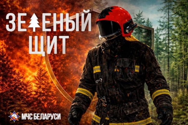 В БЕЛЫНИЧСКОМ РАЙОНЕ ПРОШЛО ПРОФИЛАКТИЧЕСКОЕ МЕРОПРИЯТИЕ МЧС «ЗЕЛЕНЫЙ ЩИТ»