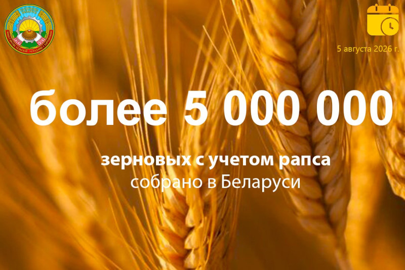Аграрии Беларуси намолотили 5 млн тонн зерна