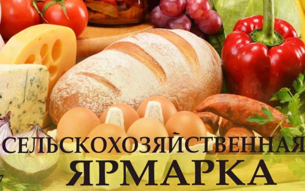 Где Белыничском районе пройдут сельскохозяйственные ярмарки