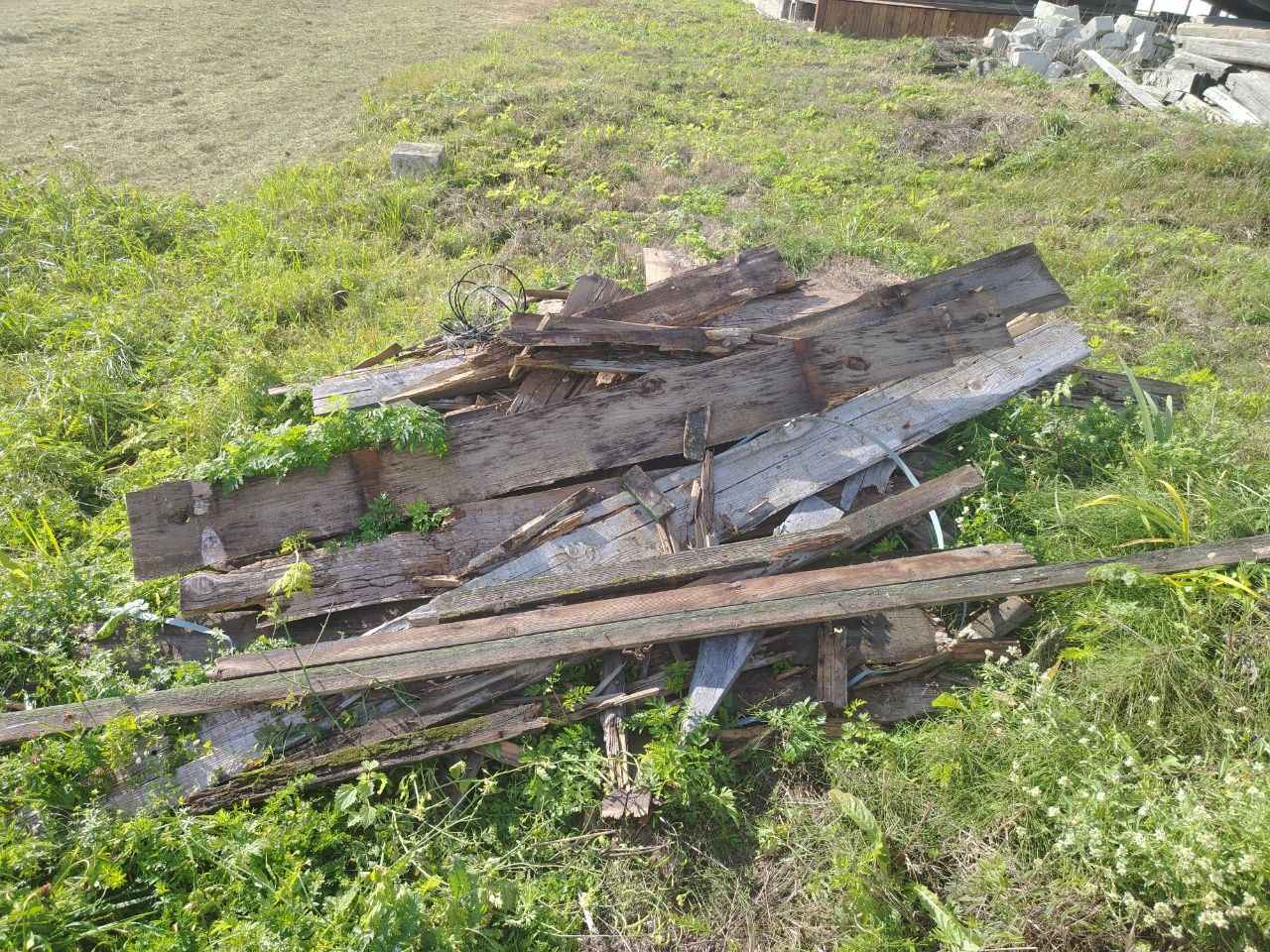 В Белыничском районе соседка заплатила штраф за мусор на чужом участке